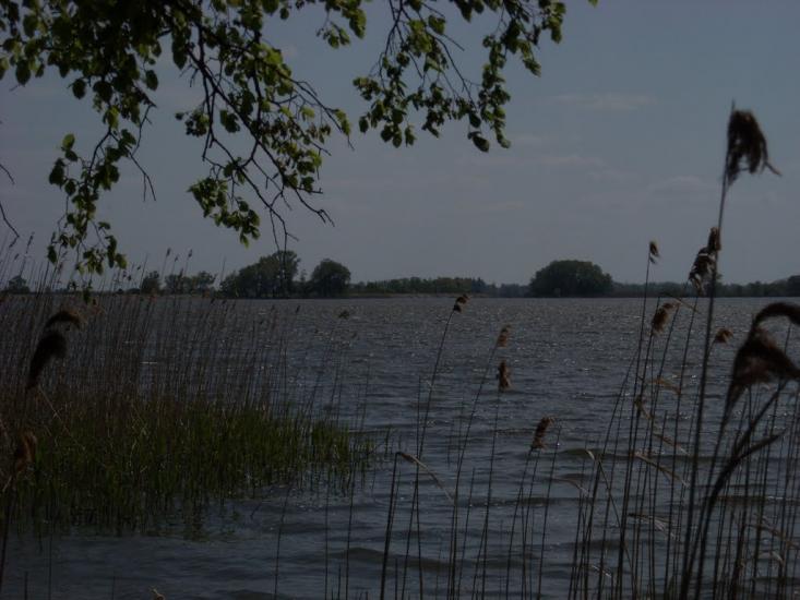 Святилівка з panoramio.com - Святиловка
