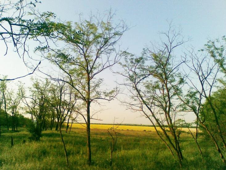 Великодолинське з panoramio.com - Великодолинське