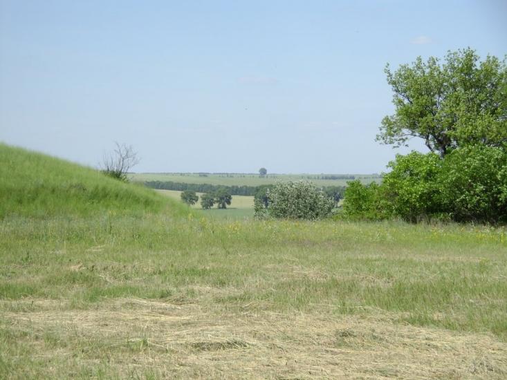Брагинці з panoramio.com - Брагинці