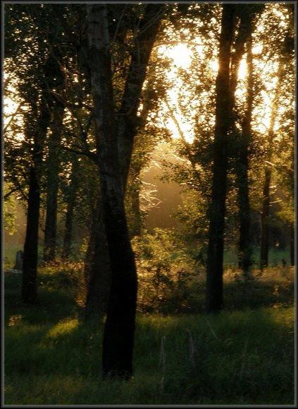 Андріївка з panoramio.com - Andriyivka