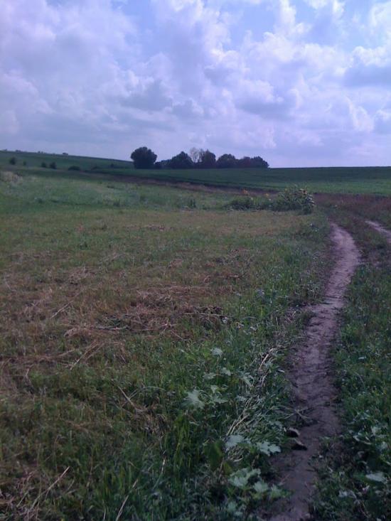 Шепелівка з panoramio.com - Шепелівка