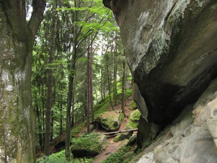 Хорови з panoramio.com - Хоровы
