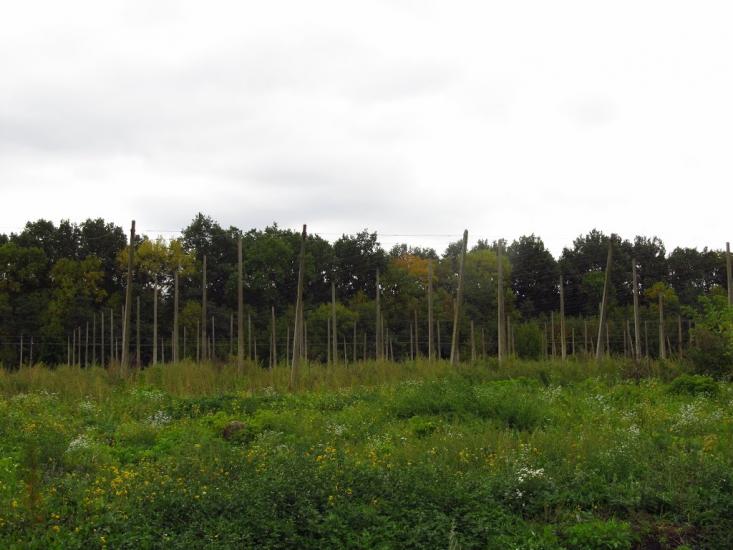 Підлужжя з panoramio.com - Підлужжя