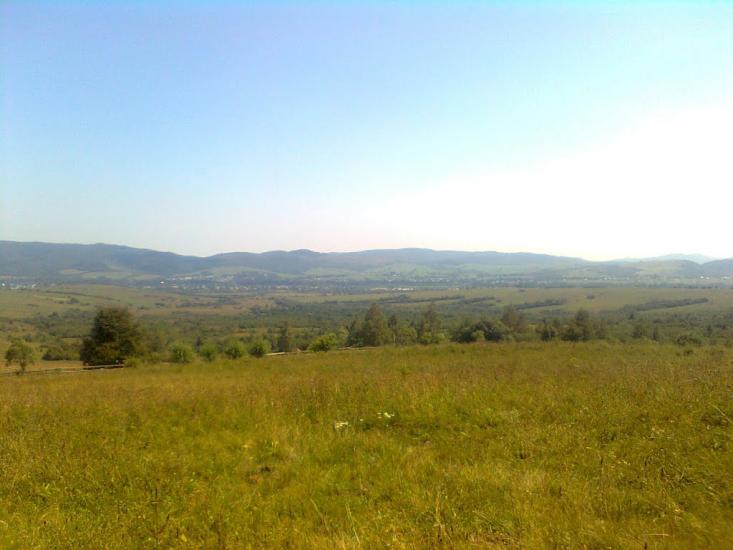 Пшеничники з panoramio.com - Пшеничники