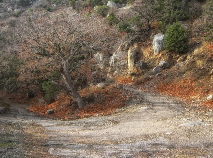 Гончарне з panoramio.com - Гончарное