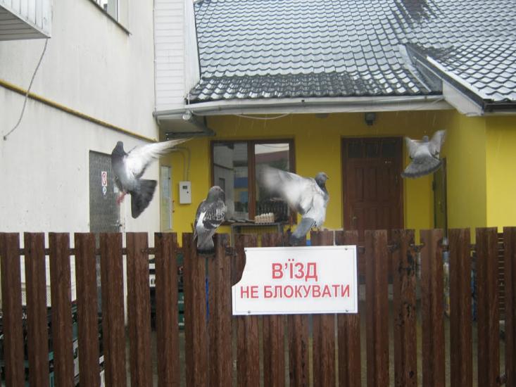 Підлужжя з panoramio.com - Підлужжя