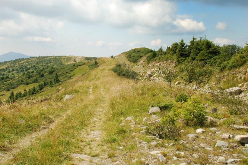 Бребоя з panoramio.com - Breboya