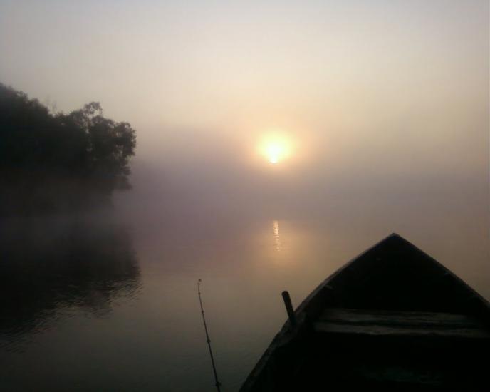 Хрещатик з panoramio.com - Хрещатик