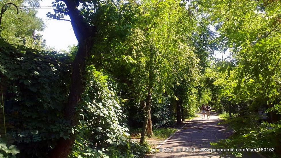 Ялта з panoramio.com - Yalta