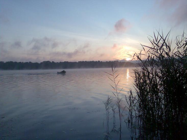 Садки з panoramio.com - Садки