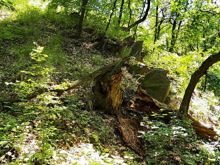 Данилове з panoramio.com - Danylove