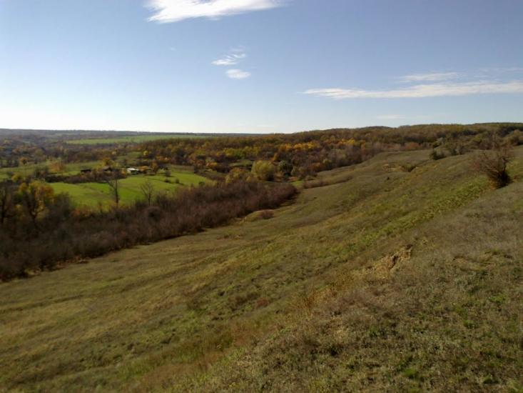 Зайцеве з panoramio.com - Зайцеве