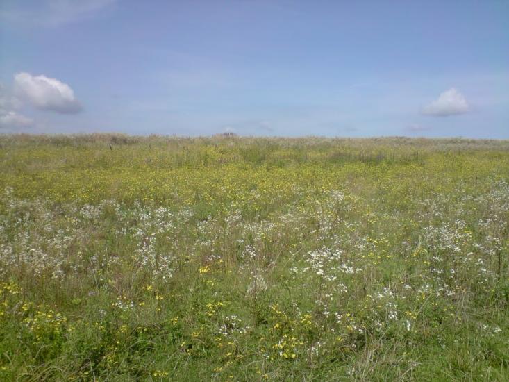 Скелівка з panoramio.com - Скелевка