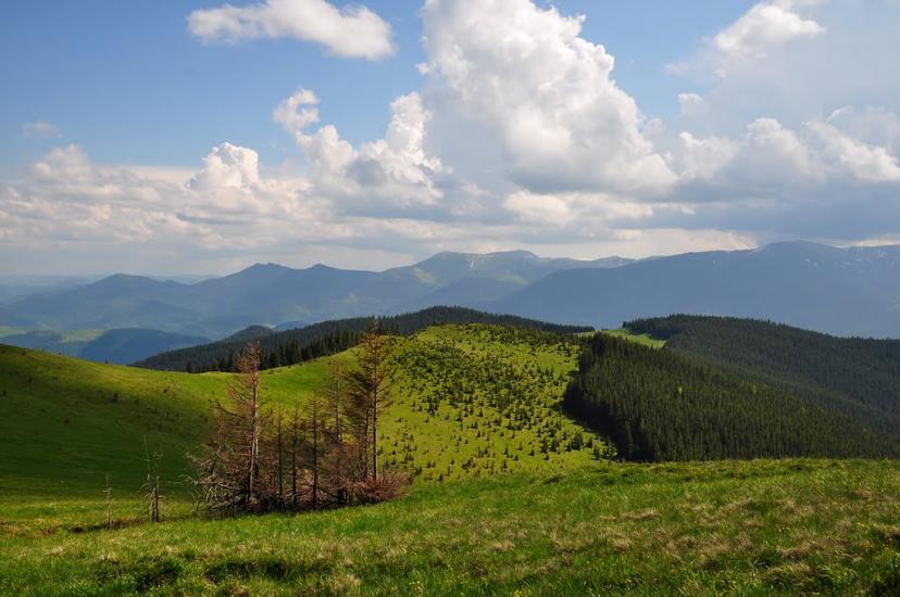 Кривопілля з panoramio.com - Kryvopillya