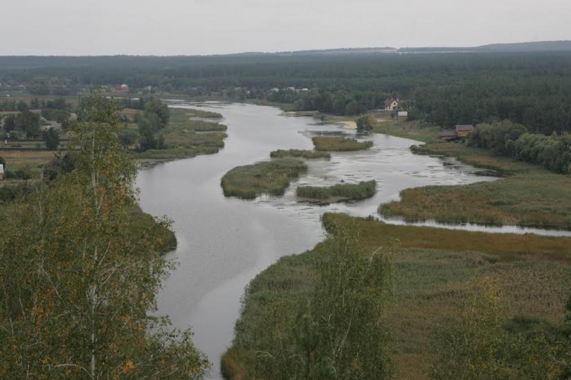 Синиця з panoramio.com - Синица