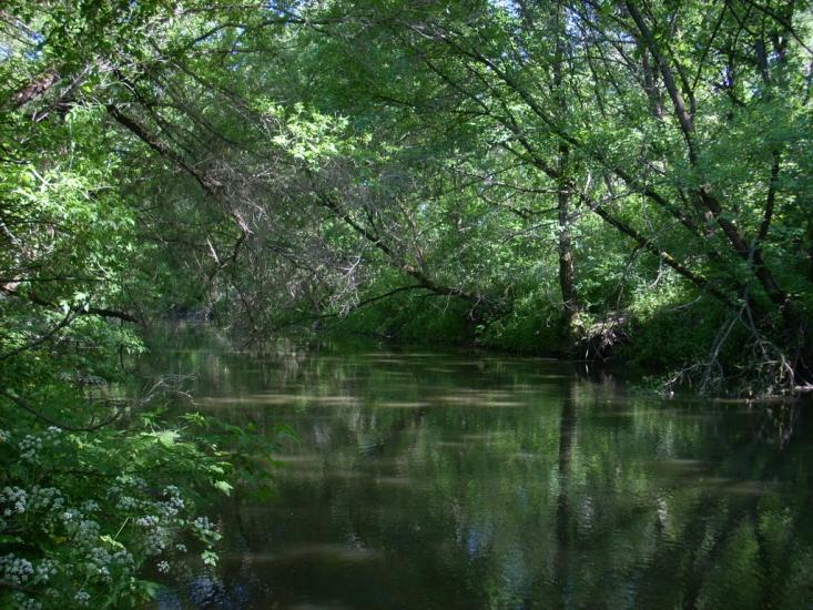 Нижньокринське з panoramio.com - Нижньокринське