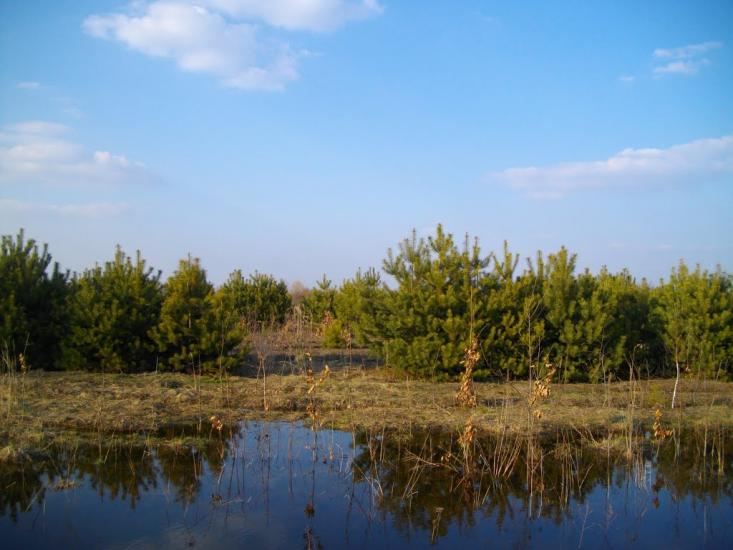 Озеро з panoramio.com - Озеро