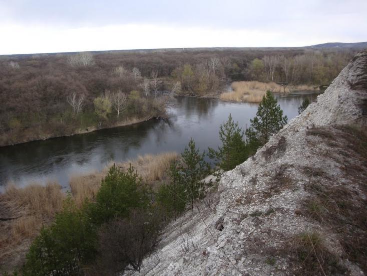 Крива Лука з panoramio.com - Крива Лука