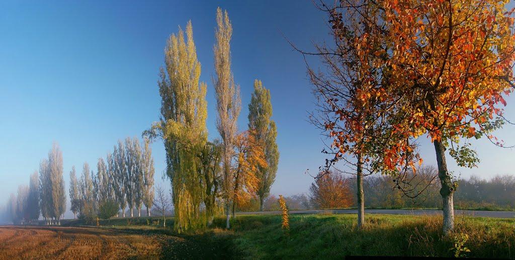 Синюха з panoramio.com - Синюха