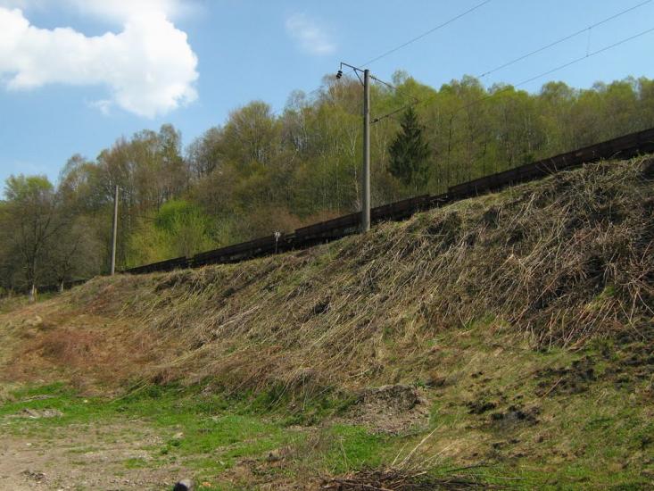 Брюховичі з panoramio.com - Брюховичи
