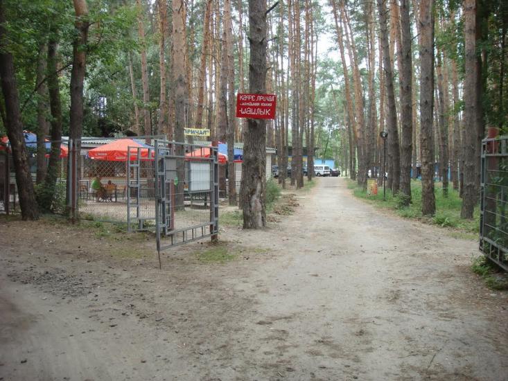 Підлиман з panoramio.com - Подлиман