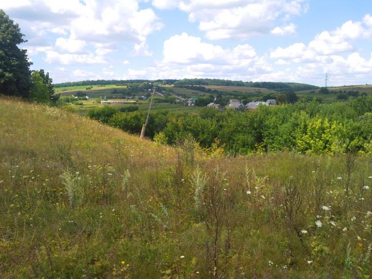 Могриця з panoramio.com - Mogrytsya