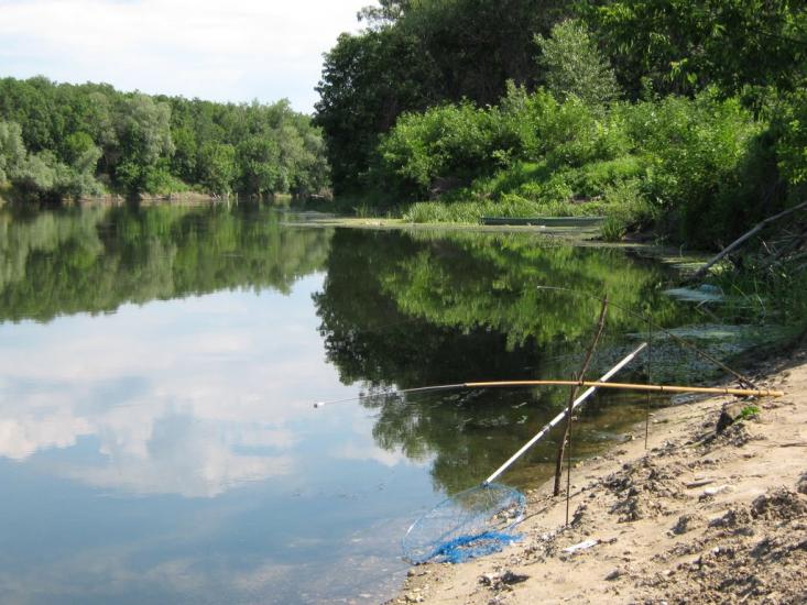 Піонерське з panoramio.com - Пионерское