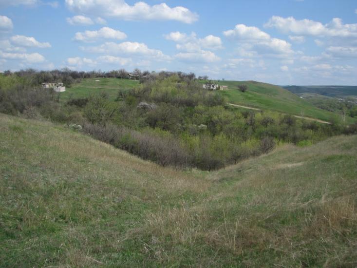 Булавинське з panoramio.com - Булавинское