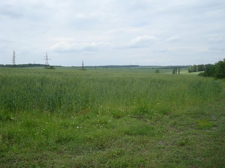 Стуфчинці з panoramio.com - Стуфчинцы