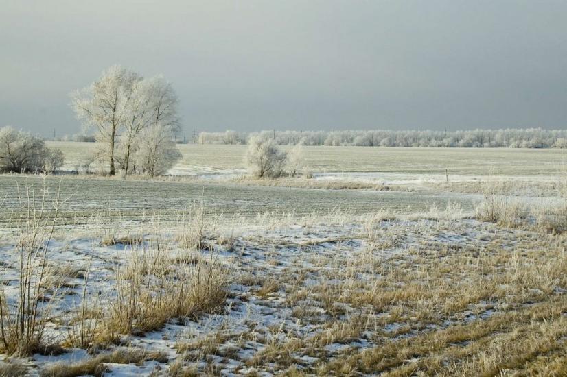 Кам'яна Яруга з panoramio.com - Кам'яна Яруга