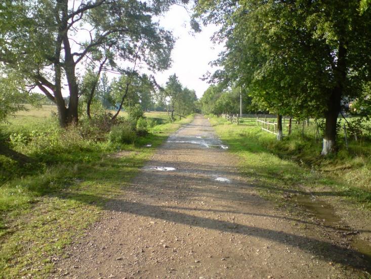 Конів з panoramio.com - Конів