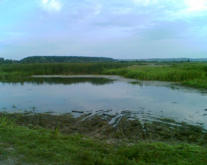Любитове з panoramio.com - Любитове