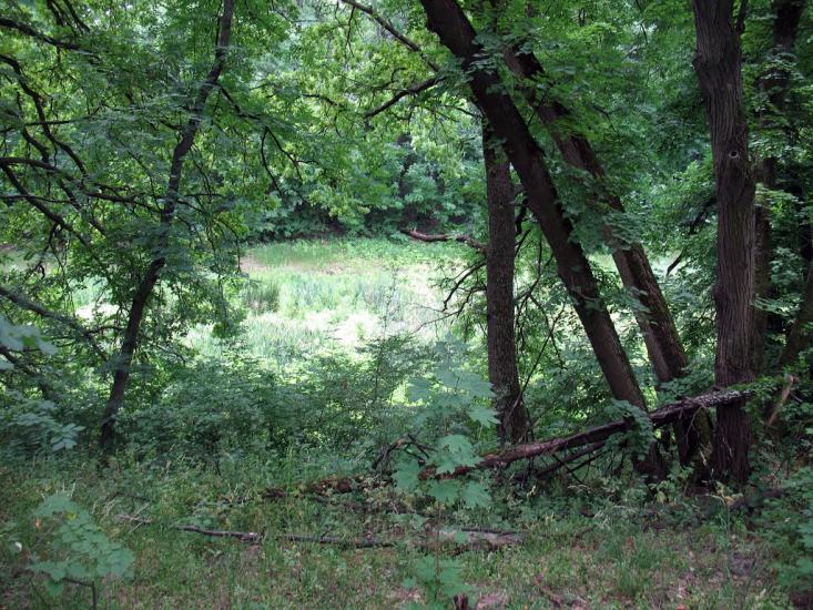 Синичине з panoramio.com - Синичине