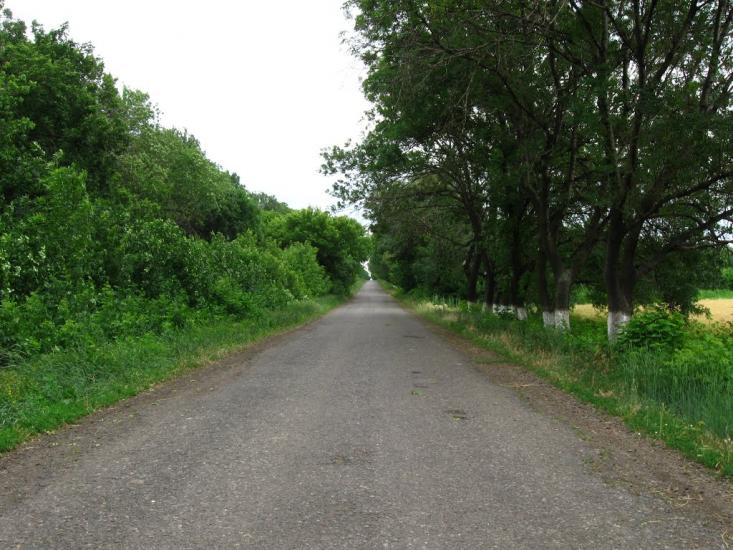 Ашуркове з panoramio.com - Ашуркове