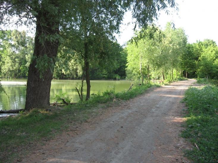 Кищенці з panoramio.com - Кищенцы