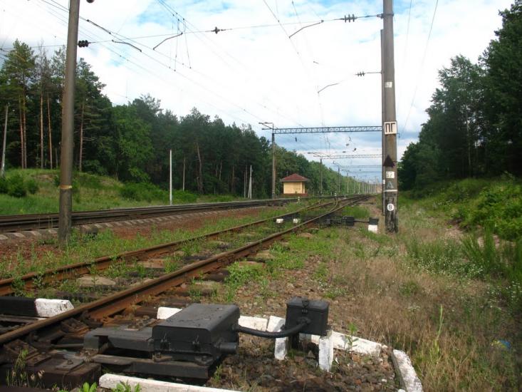 Проліски з panoramio.com - Prolisky