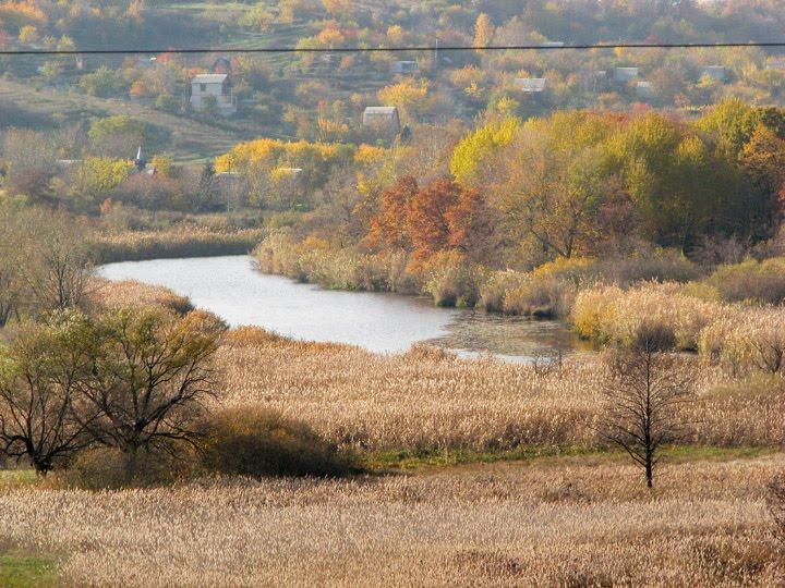 Литвинівка з panoramio.com - Литвиновка