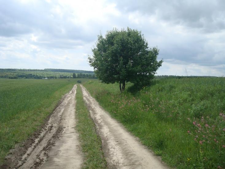 Стуфчинці з panoramio.com - Стуфчинцы