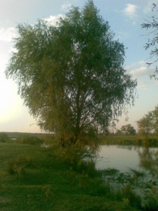 Радянське з panoramio.com - Радянское