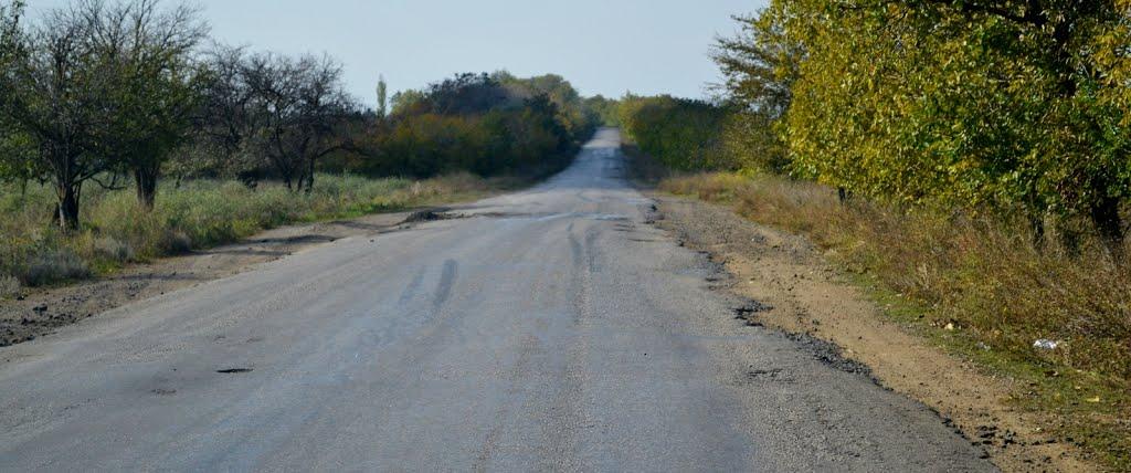Роздільна з panoramio.com - Раздельная