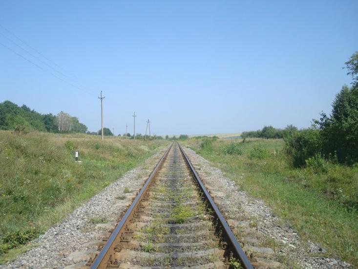 Тарасівка з panoramio.com - Тарасовка