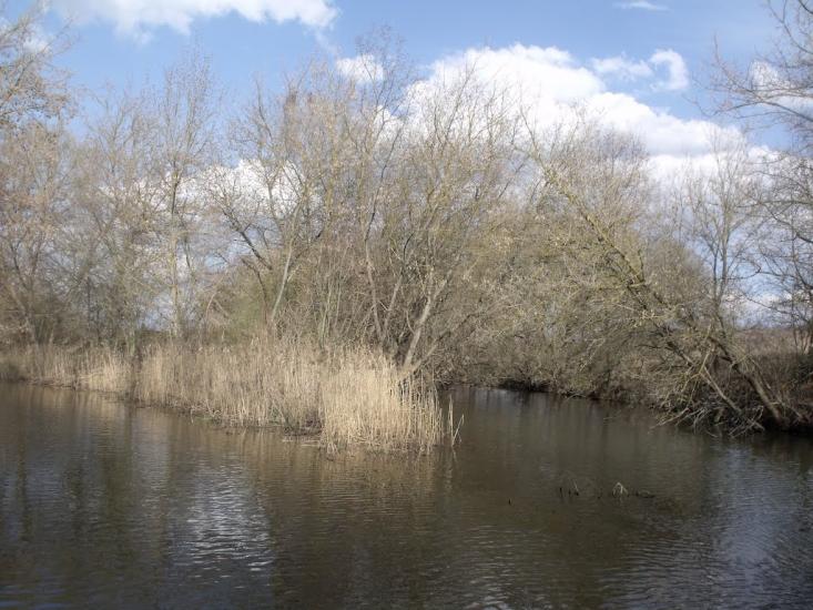 Городнє з panoramio.com - Городнее