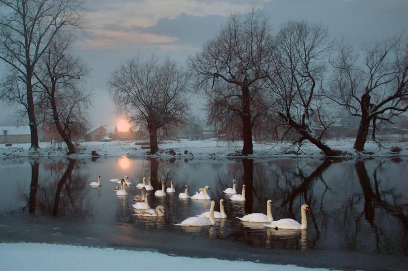 Ходорів з panoramio.com - Ходорів