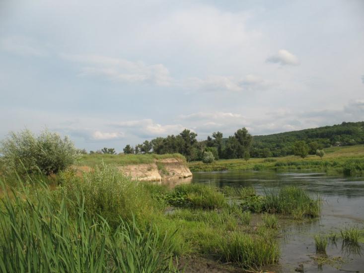Синичине з panoramio.com - Синичине