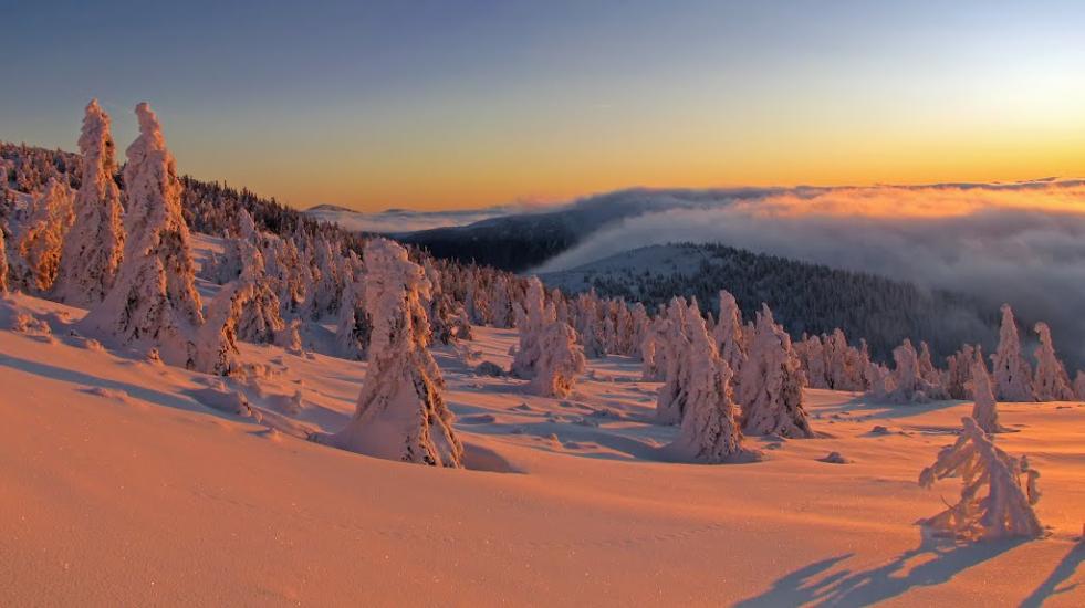 Лопухів з panoramio.com - Лопухов