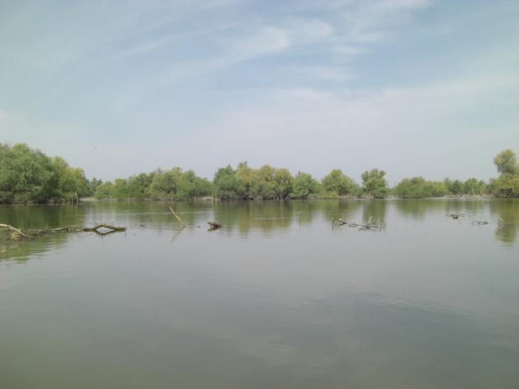 Дунайське з panoramio.com (ч.2) - Дунайське