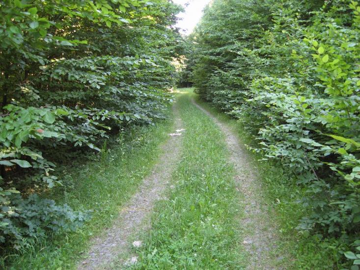 Радянське з panoramio.com - Радянське