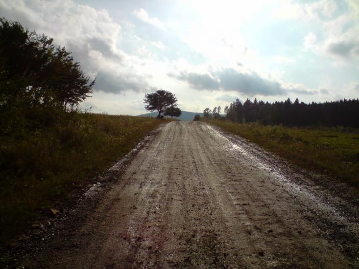 Конів з panoramio.com - Конів