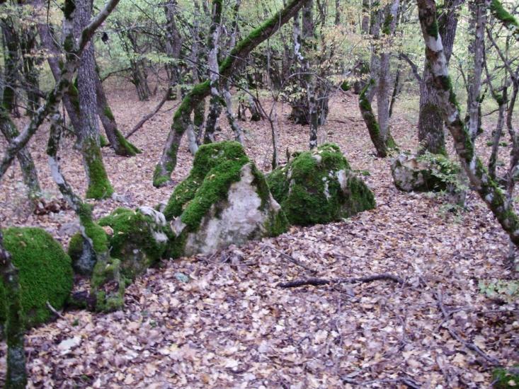 Поляна з panoramio.com - Поляна