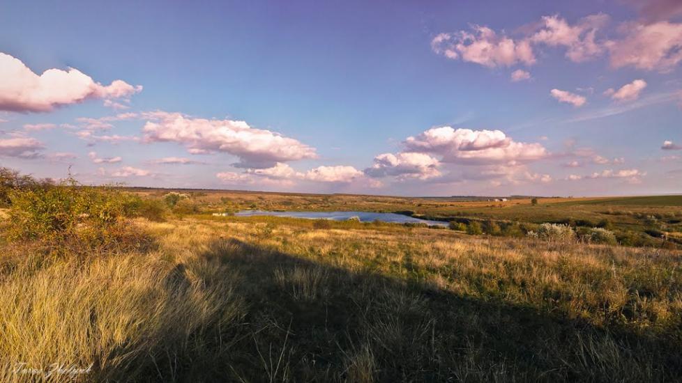 Куріпчине з panoramio.com - Kuripchyne